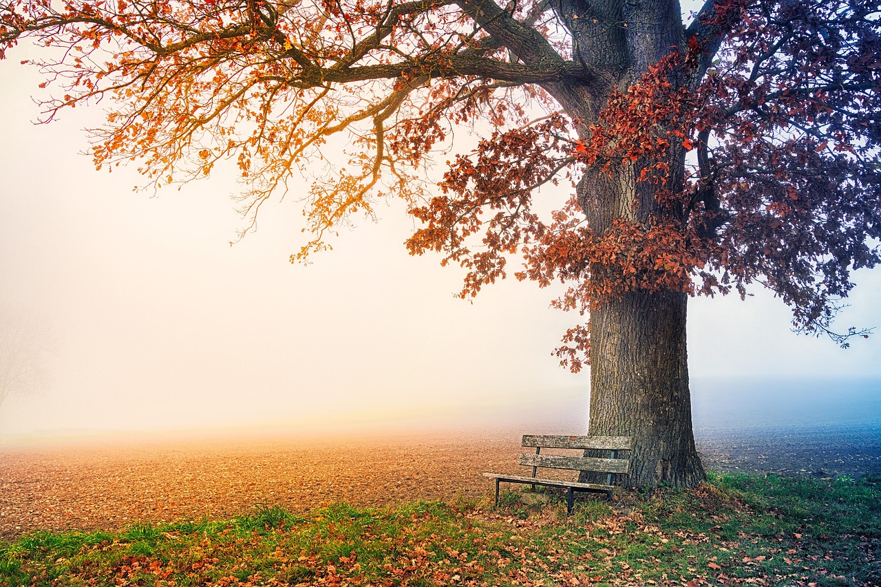 Am I The Creator of My Abundant Life?
